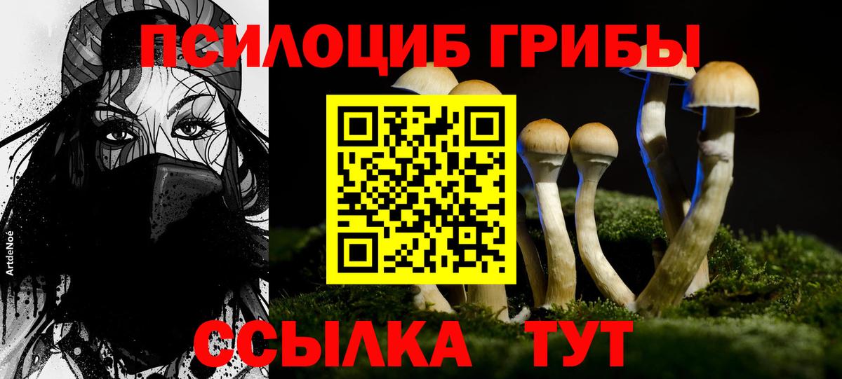 Галлюциногенные грибы Psilocybe  Псилоцибиновые грибы MAGIC MUSHROOMS  Вход с VPN  Котовск 